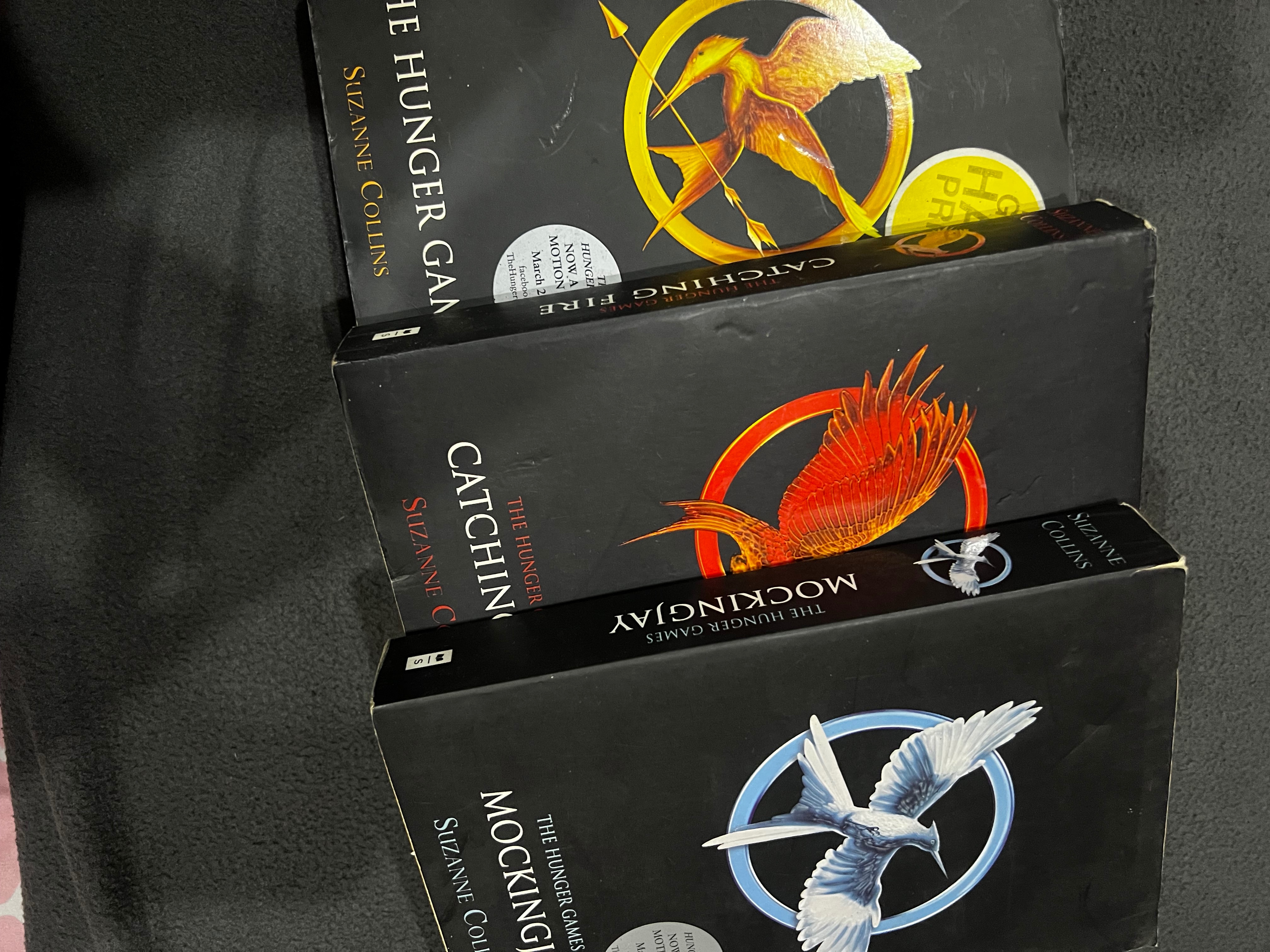 The hunger game series 
