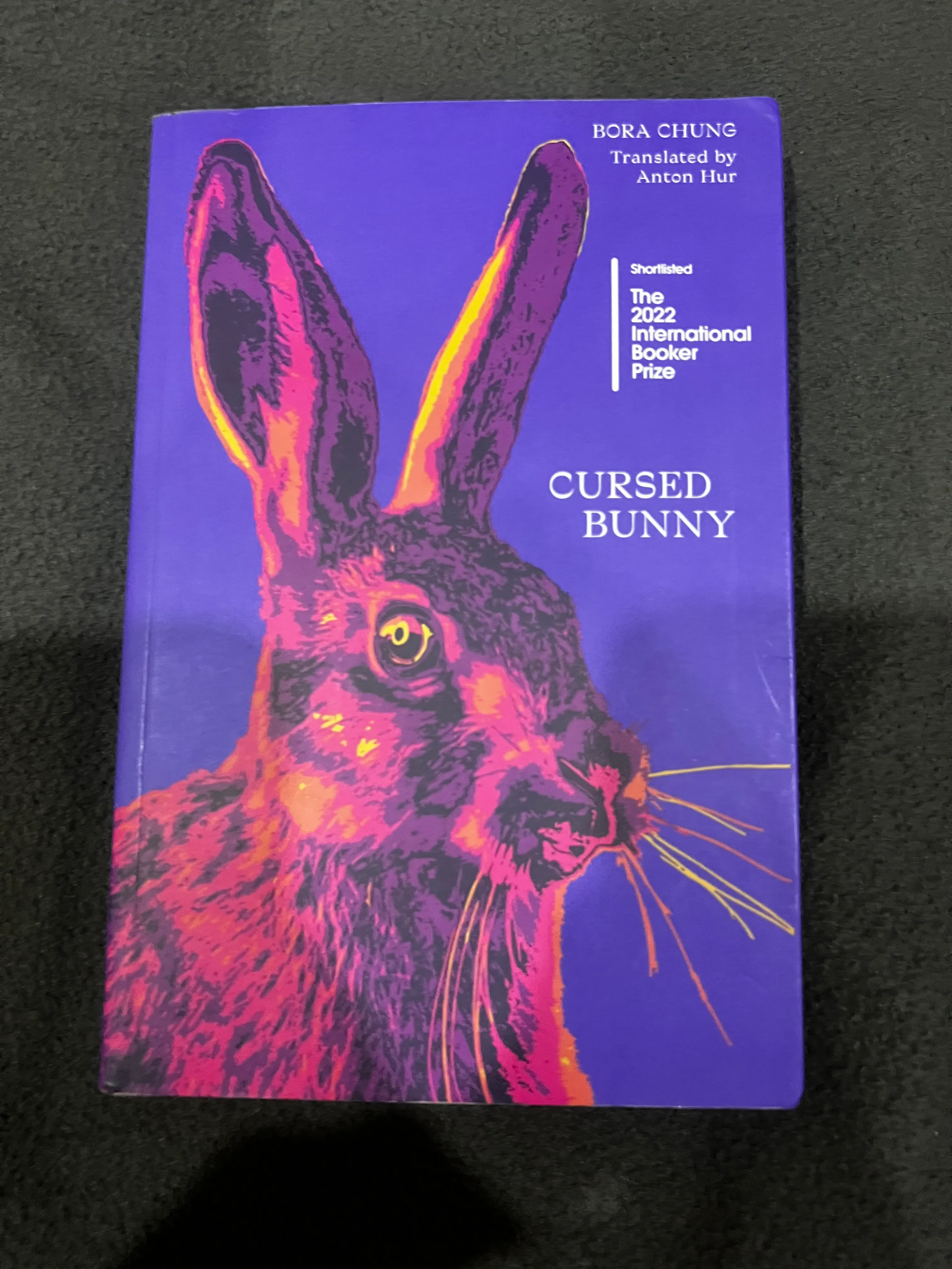 Cursed bunny 