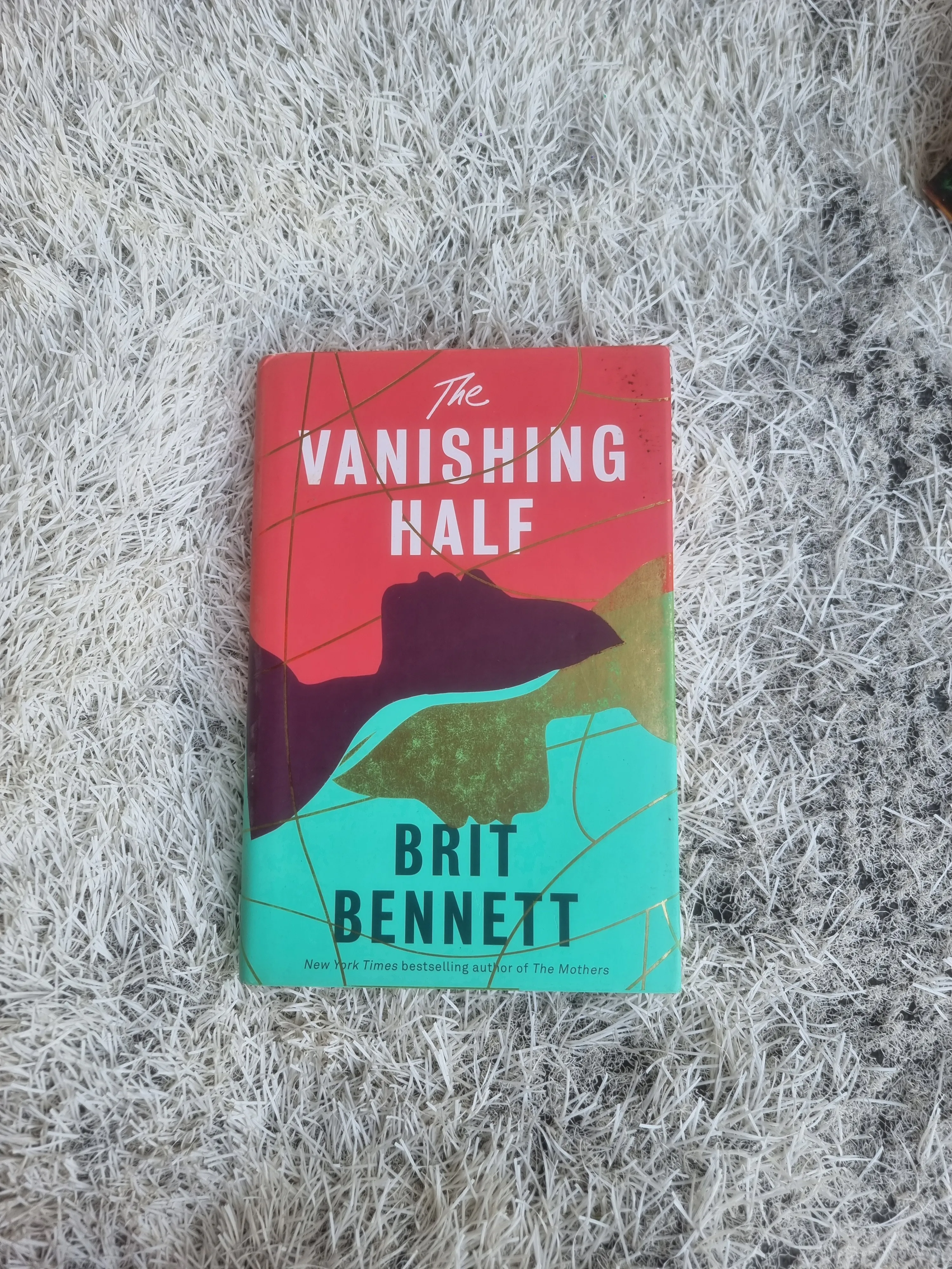The Vanishing Half