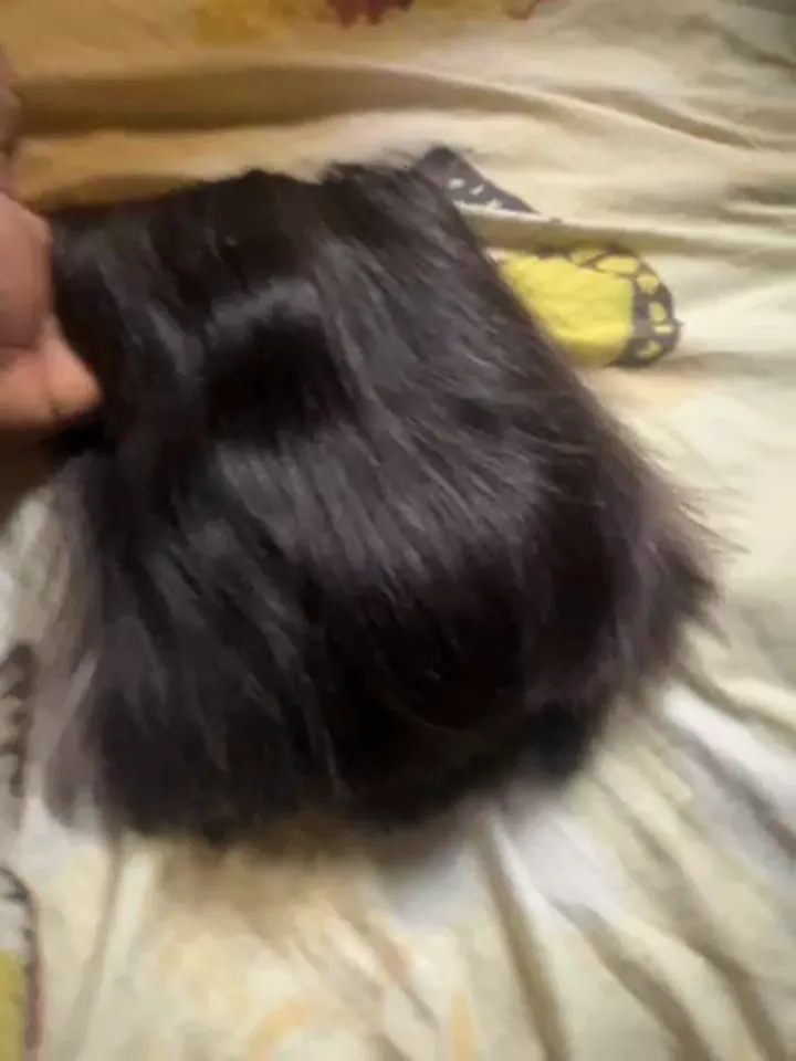 Wig 